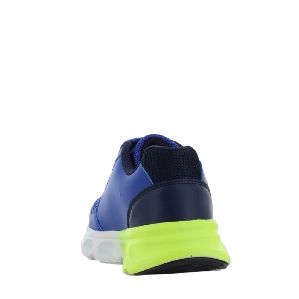 https://cdn.shopify.com/s/files/1/2337/9237/files/SC001399e.jpg?v=1772290052