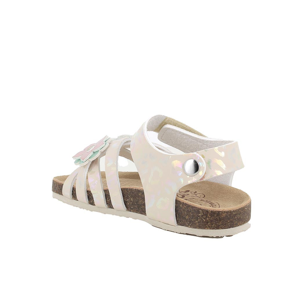 https://www.primigi.it/shop/media/catalog/product/2/0/202611433422_3_1b0e.jpg?width=2000&height=2000&store=p_en&image-type=image