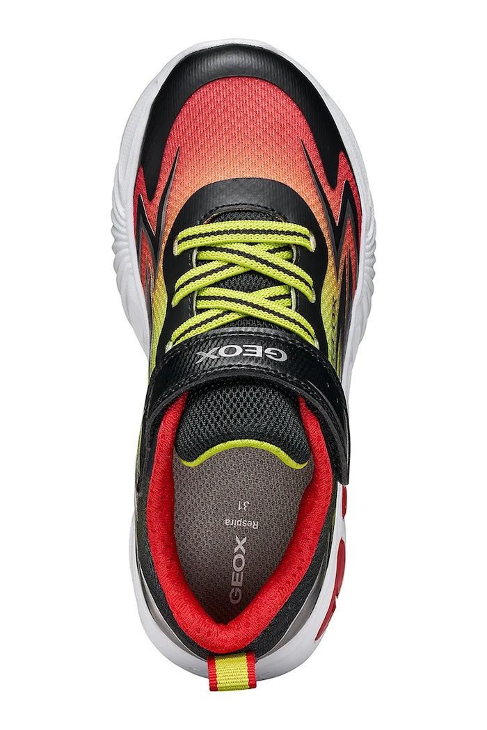 Geox ASSISTER Boys' Sneakers Black J66DZB.02A9J