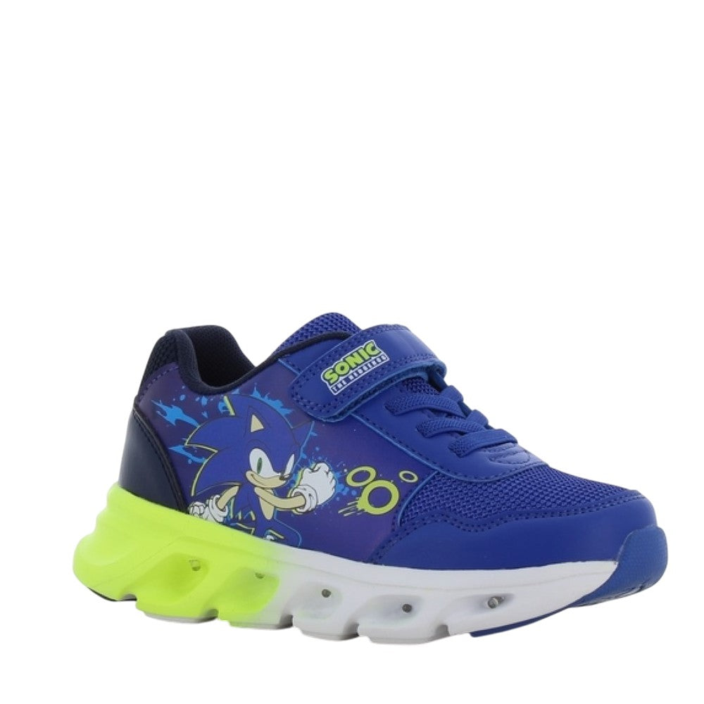 https://cdn.shopify.com/s/files/1/2337/9237/files/SC001399b.jpg?v=1772290052